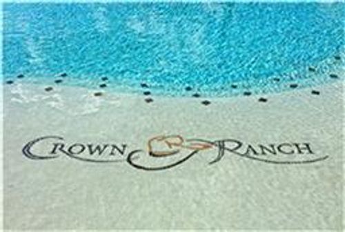 12627 Shady Woods Trl, Montgomery, TX, 77316 | Card Image