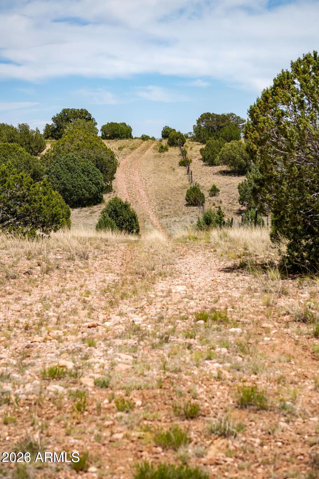 Land in Seligman 4