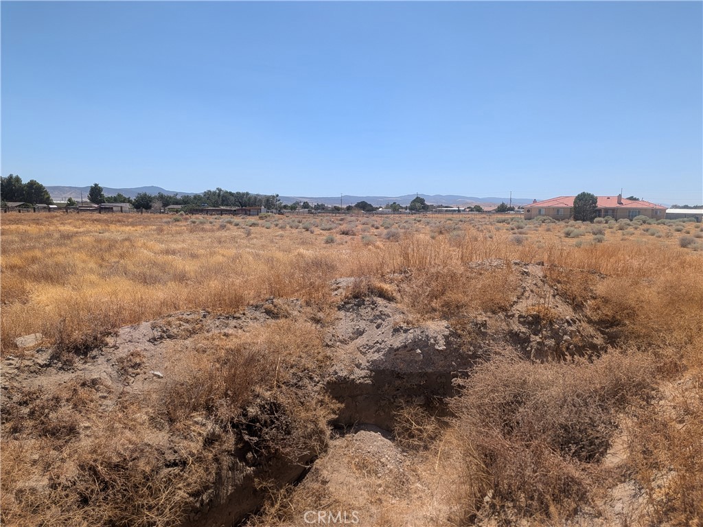 Land in Antelope Acres 3