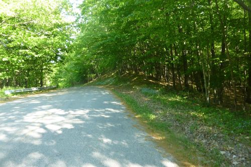 oo Point Betsie Rd, Frankfort, MI, 49635 | Card Image