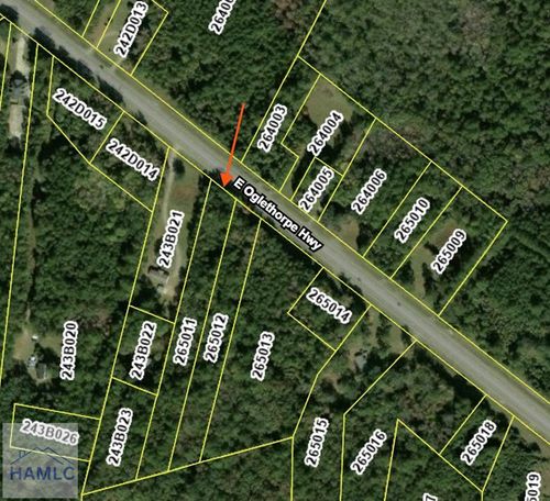 13225 E Oglethorpe Hwy, midway, GA, 31320-4220 | Card Image
