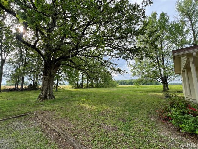 View of yard | Image 5