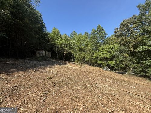 1565 Davis Road, Hiawassee, GA, 30546 | Card Image