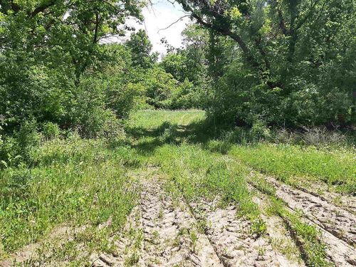 18 Acres Shady Lane Road, DELTON, WI, 53959 | Card Image