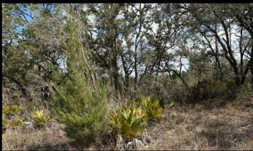 18308 Parakeet Rd, Weeki Wachee, FL, 34614 | Card Image