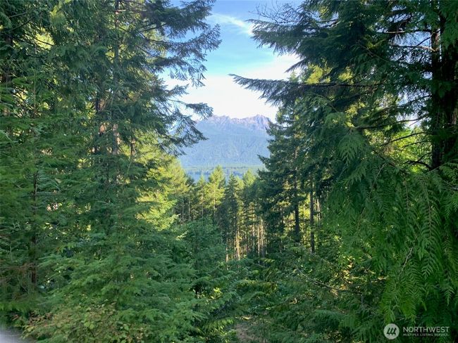 5154 N Lake Cushman Rd, Home with 0 bedrooms, 0 bathrooms and null parking in Hoodsport WA | Image 22