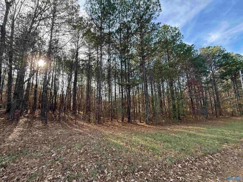 Lot 20 Sweetwater Ln, Rainbow City, AL, 35906-8661 | Card Image