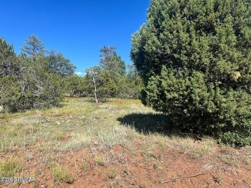 5020 Bison Trl, Lakeside, AZ, 85929 | Card Image