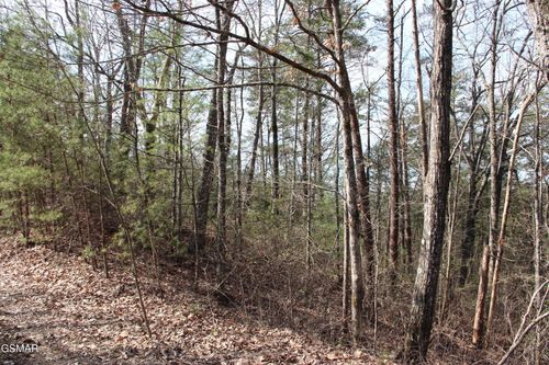 lot 19 Ridge View Dr, Sevierville, TN, 37876 | Card Image