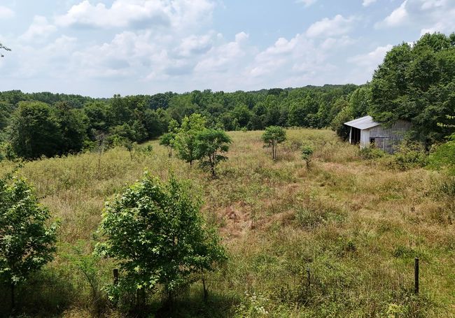 268 Brockton Loop, Home with 0 bedrooms, 0 bathrooms and null parking in Jefferson GA | Image 9