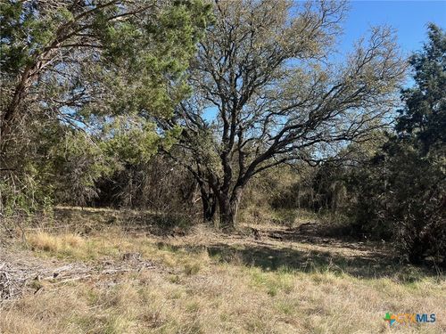 0 TBD Us-183, Lometa, TX, 76853 | Card Image