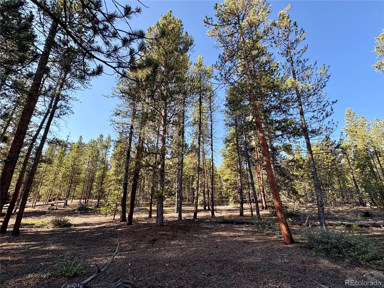 Land in Twin Lakes 3