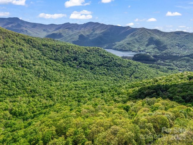 8 White Birch Ct, Home with 0 bedrooms, 0 bathrooms and null parking in Black Mountain NC | Image 4