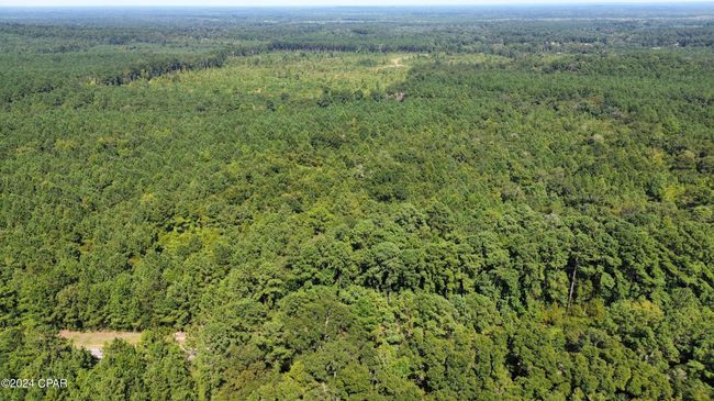 00 Knox Hill Rd, Home with 0 bedrooms, 0 bathrooms and null parking in Ponce De Leon FL | Image 7
