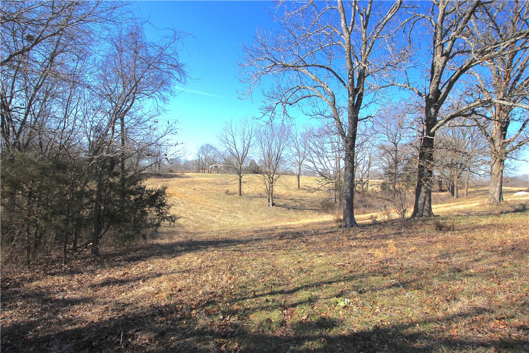 Gates Ln, Pea Ridge, AR 72751 #1
