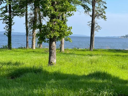 20621 Wycliff Dr, Chandler, TX, 75758-8950 | Card Image