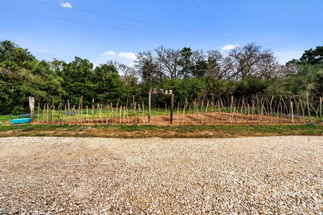 Front Garden | Image 27