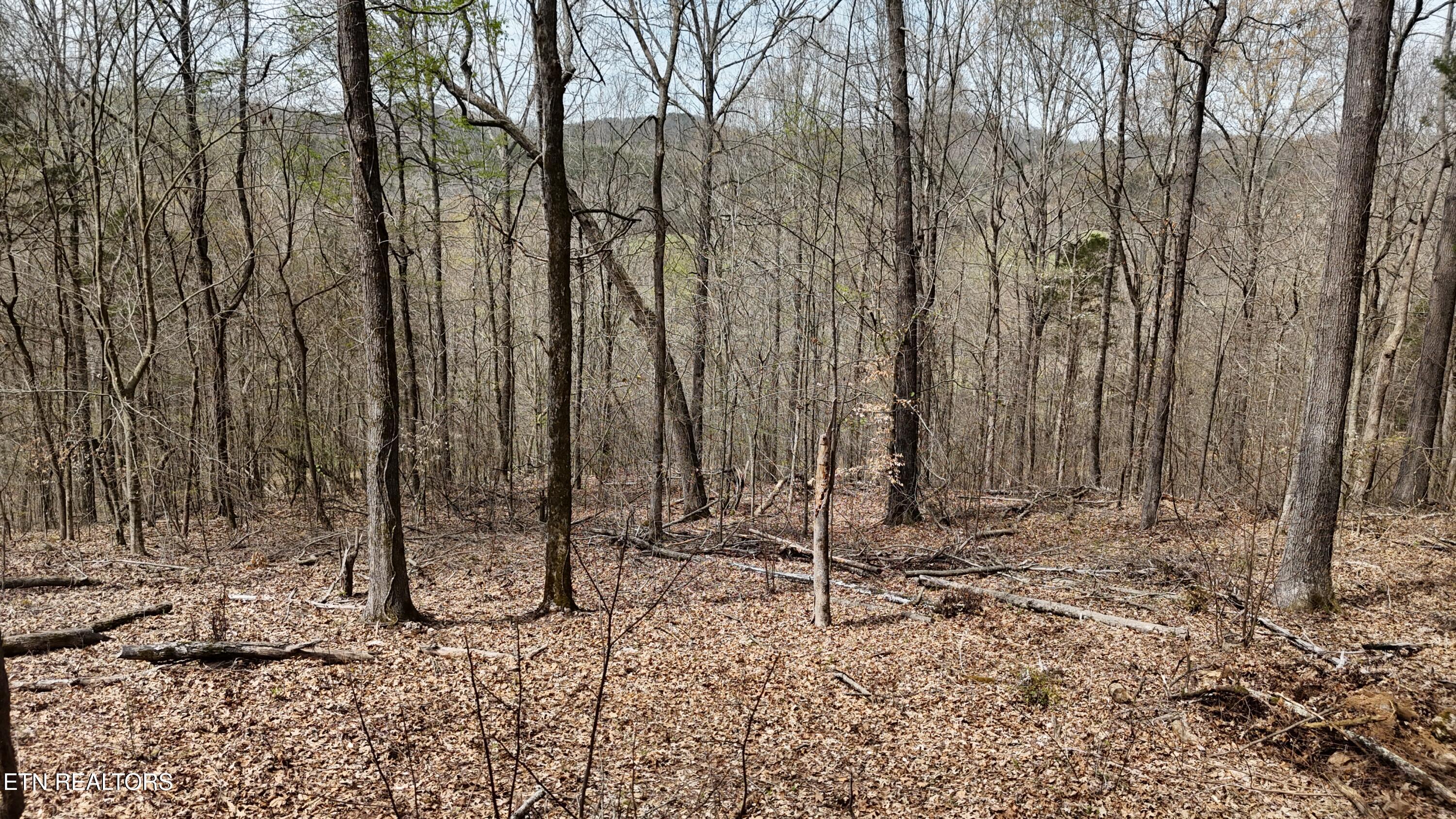 Land in Decatur