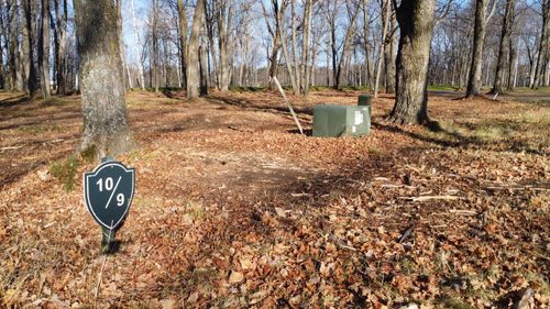 Lot 9 Ackley Lndg, Antigo, WI, 54409 | Card Image