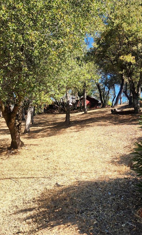 13033 Lake Wildwood Drive, Penn Valley, CA, 95946 | Card Image