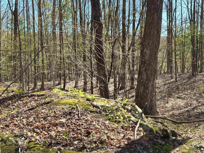 0 Westminster Rd, Home with 0 bedrooms, 0 bathrooms and null parking in Putney VT | Image 8