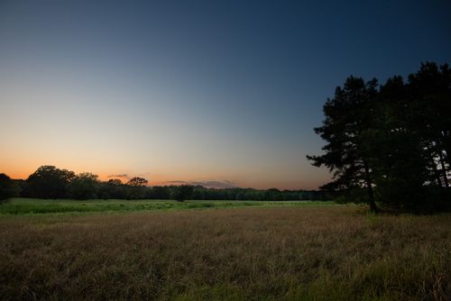 821 Gorman Oaks, Big Sandy, TX, 75755 | Card Image