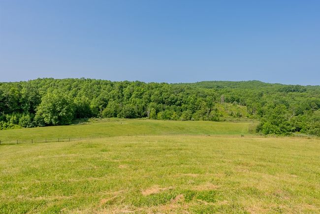 688 Gibson Knob Rd, Home with 0 bedrooms, 0 bathrooms and null parking in Laurel Fork VA | Image 71