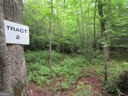 TRACT 2 E New Hope Rd, Ellijay, GA, 30536-6593 | Card Image