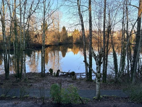 8-31501 Upper Maclure Rd, Abbotsford, BC, V2T5S6 | Card Image