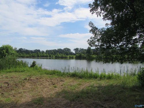 Lot 12 County Road 487, Moulton, AL, 35650-7032 | Card Image