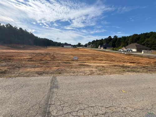 TBD Lot 28 Emma, Diana, TX, 75640 | Card Image