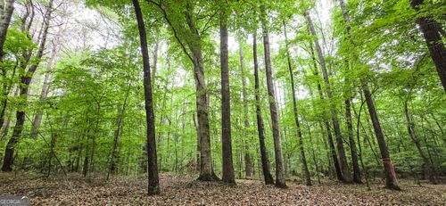 0 Padgett Road, Senoia, GA, 30276 | Card Image