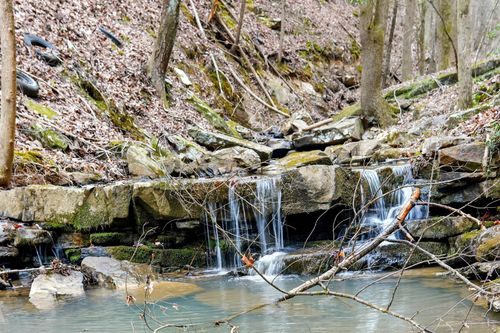 1042 Rocky Top Ln, Sale Creek, TN, 37373-7821 | Card Image