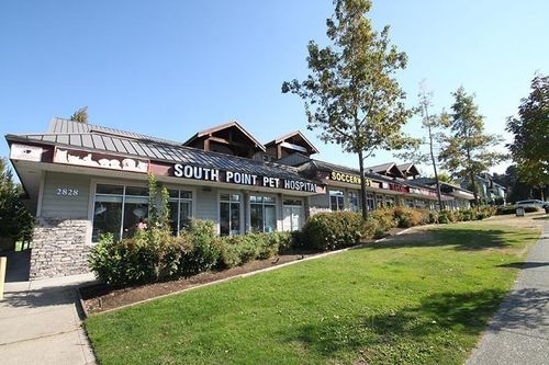 203-2828 152 St, Surrey, BC, V4P1G6 | Card Image