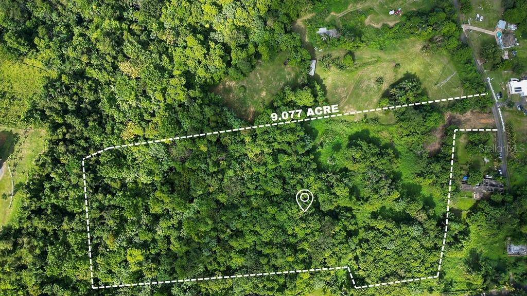 Land in VEGA ALTA 5