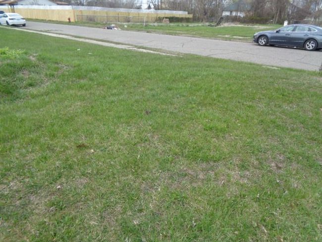 5678 Harold St, Home with 0 bedrooms, 0 bathrooms and null parking in Hamtramck MI | Image 4