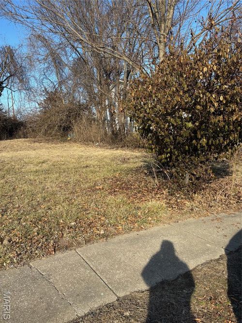 335 Electric St, Kirkwood, MO, 63122-7318 | Card Image