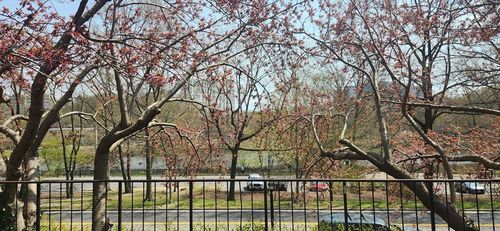 507-77 Pond Ave, Brookline, MA, 02445-7113 | Card Image