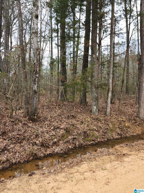 1-0 County Road 495, Verbena, AL, 36091 | Card Image