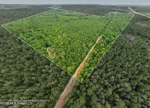 0 E Of Hwy 45, Waynesboro, MS, 39367 | Card Image