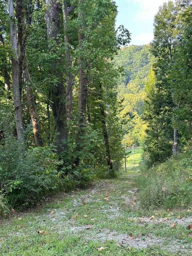 3896 Long Run Rd, Home with 3 bedrooms, 3 bathrooms and null parking in Vevay IN | Image 59