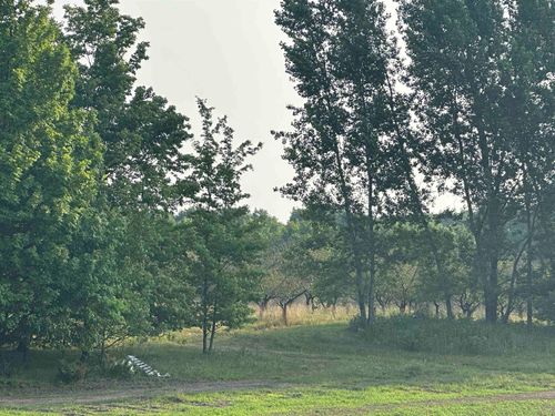 Parcel 9 Karnes Road, Empire Township, MI, 49636 | Card Image