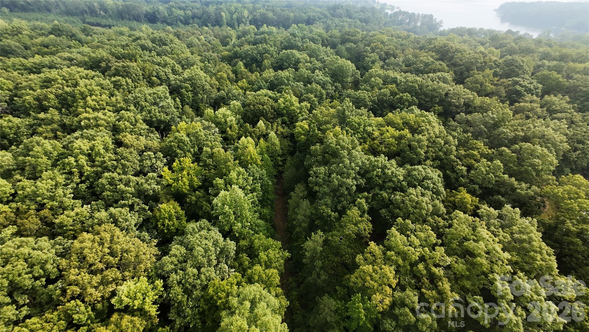 Land in Norwood 2