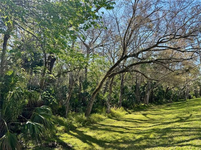 Conservation view | Image 35