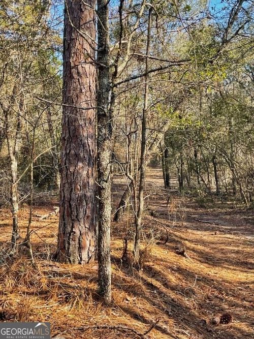 0 Highway 56 S, swainsboro, GA, 30401 | Card Image