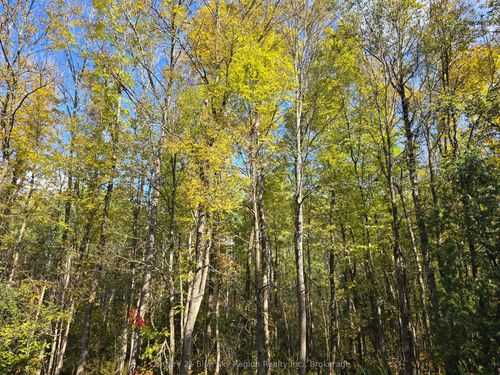 LOT 5 CON 3 Guillemette Rd, River Valley, ON, P0H2C0 | Card Image