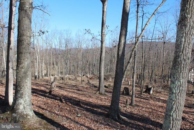 141 Hillcrest Dr, Home with 0 bedrooms, 0 bathrooms and null parking in New Creek WV | Image 17