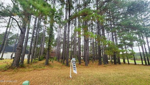 0 W Pins Ct, Natchez, MS, 39120 | Card Image