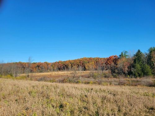 0 S Tripp Rd, Osseo, MI, 49266 | Card Image