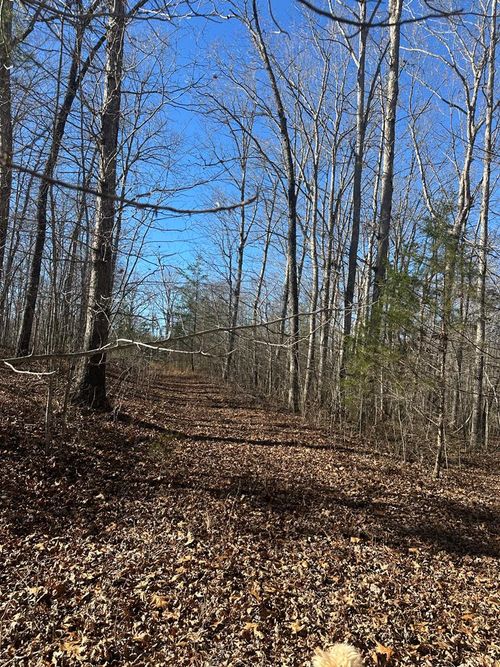 250 Haven Lane, Crawford, TN, 38554 | Card Image